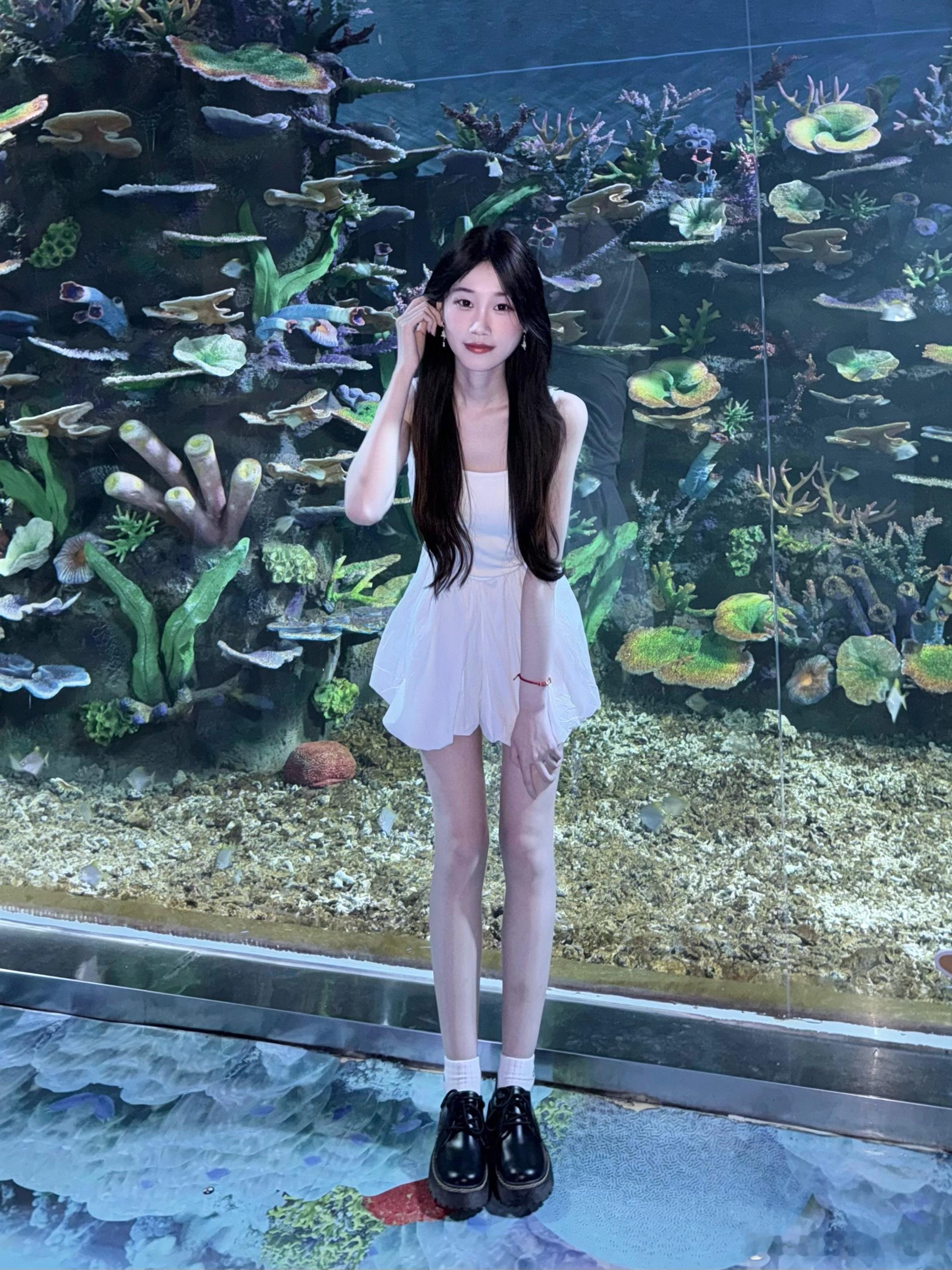 🌊🐳🐬🐚🫧​​​