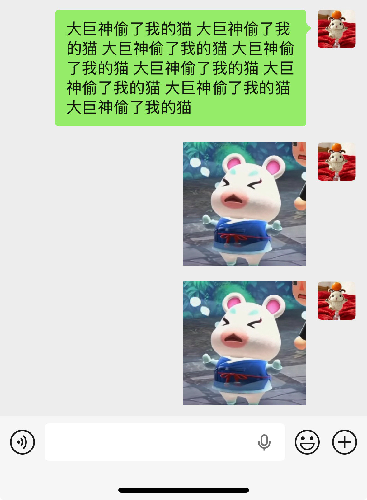 朋友家的猫太可爱我就这样：