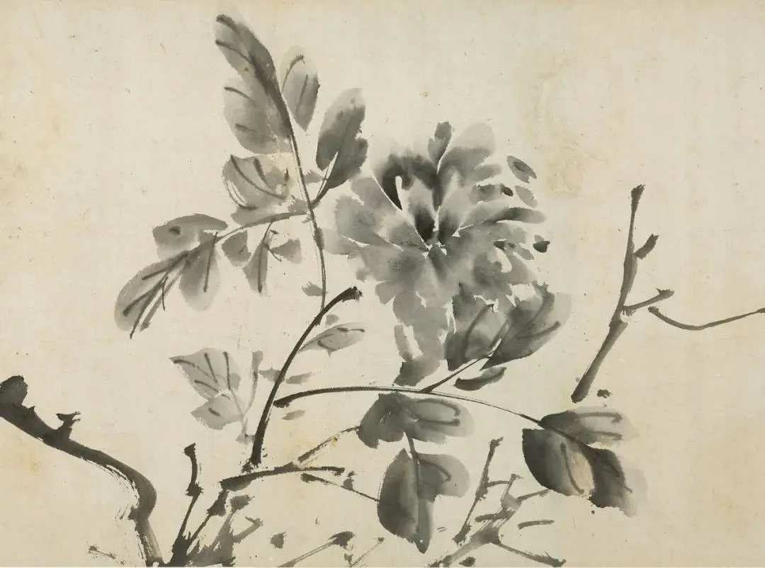 明徐渭《墨花图卷》。徐渭受到吴门画风的影响，在构图上延续陈淳、陆治、周之冕等善