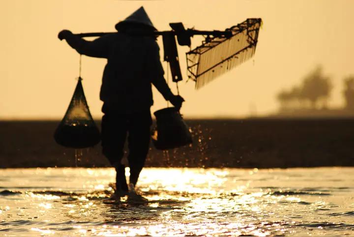 七十年代去北边打猎，遇到两个采珠人，在水流湍急的老河汊里采河蚌。他们会拿一根又