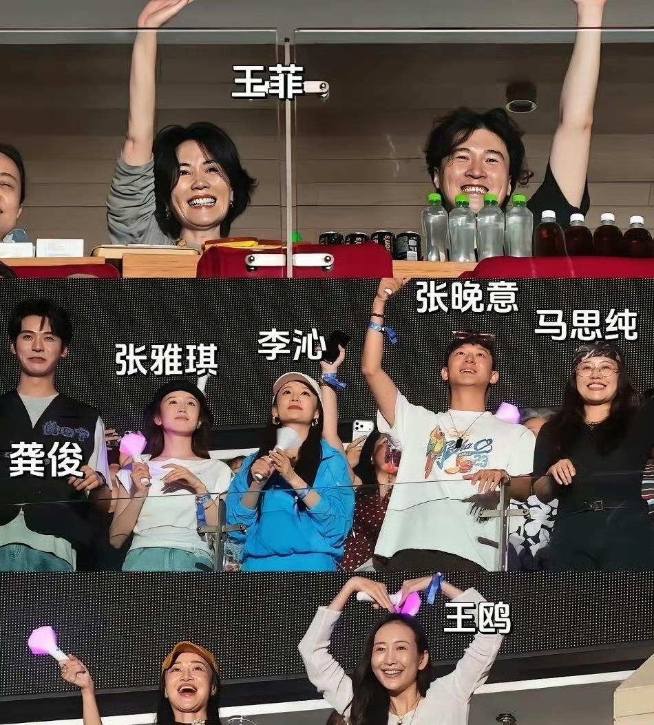 那英演唱会上的马思纯胖乎乎圆润润往那一坐，旁边李沁张雅琪瘦得跟竹竿似的，她却笑出了双下巴，这画面直接