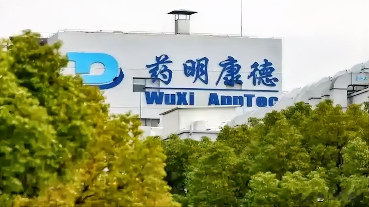 药明康德出半年报了。根据报告，营收289亿，净利润111亿，同比增长都超过了