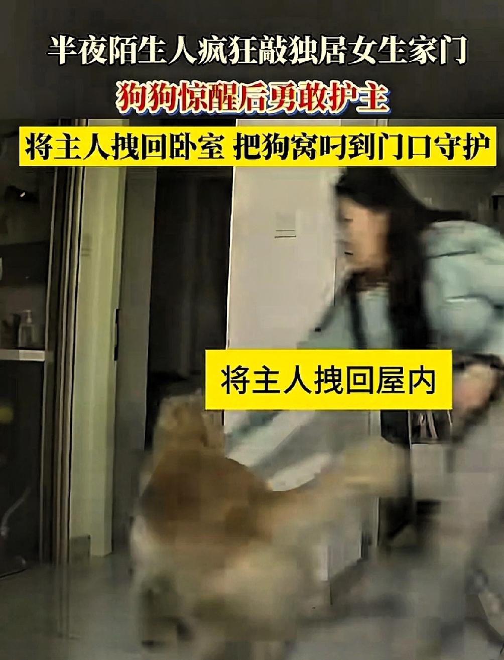 凌晨时分，急促的砸门声和冰冷的电子门锁提示音“验证失败”，撕裂了一个独居女子的宁