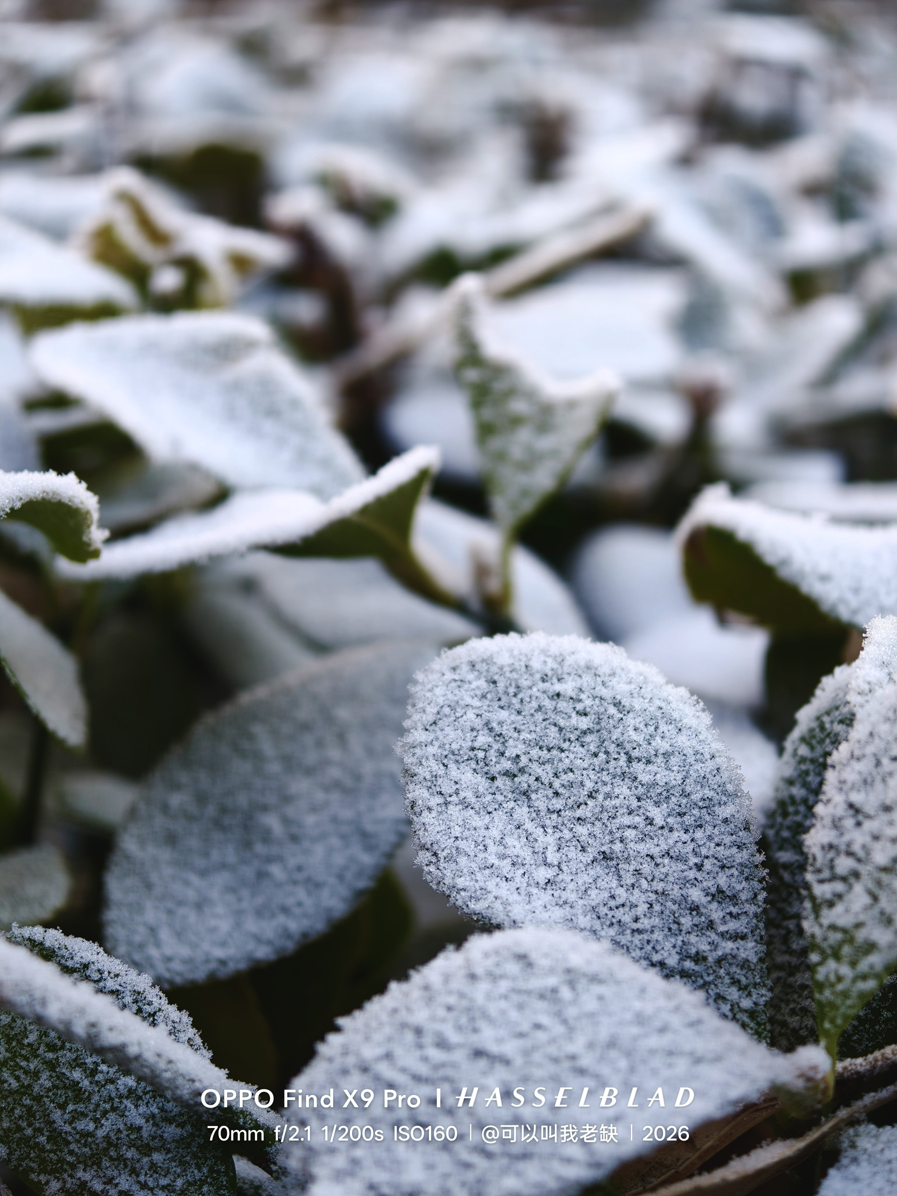 早啊，朋友们今天要带小朋友出去玩