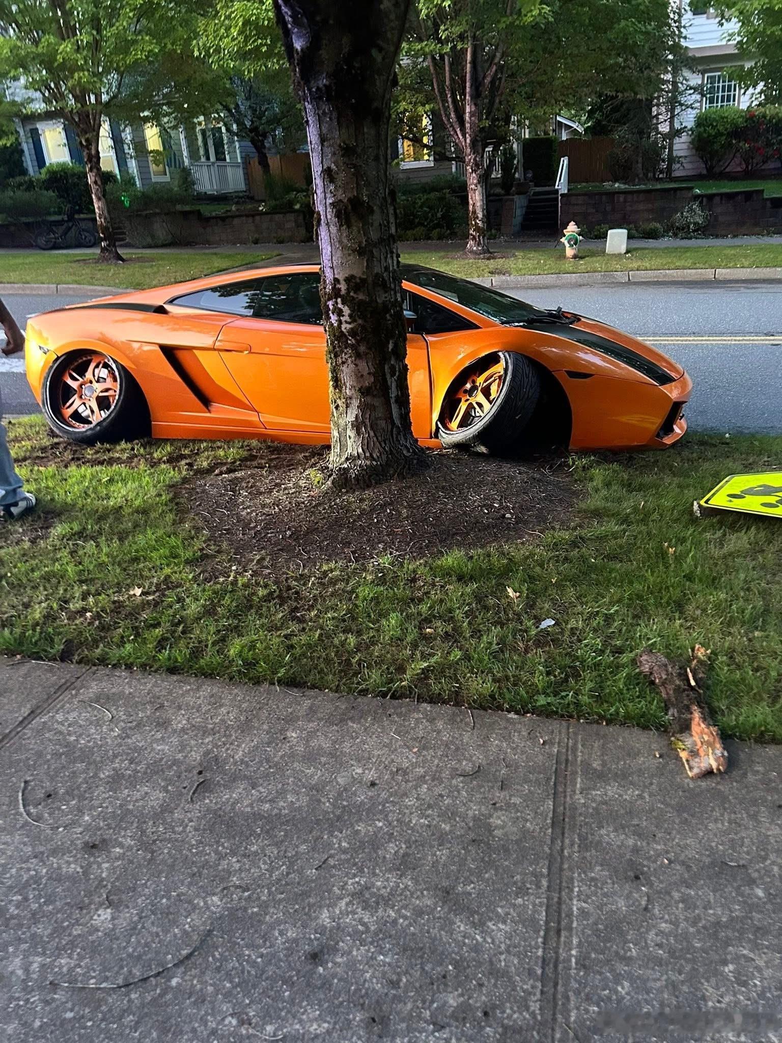 牛牛咋把车停这嘞[doge]​​​