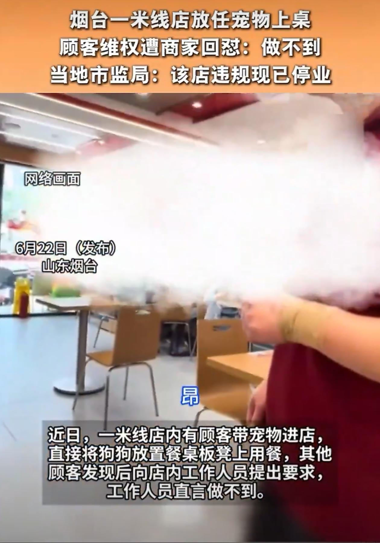 既然有这种需求，干脆开一个人狗共餐的饭店得了，专供那些喜欢和一块上餐桌的主儿。两