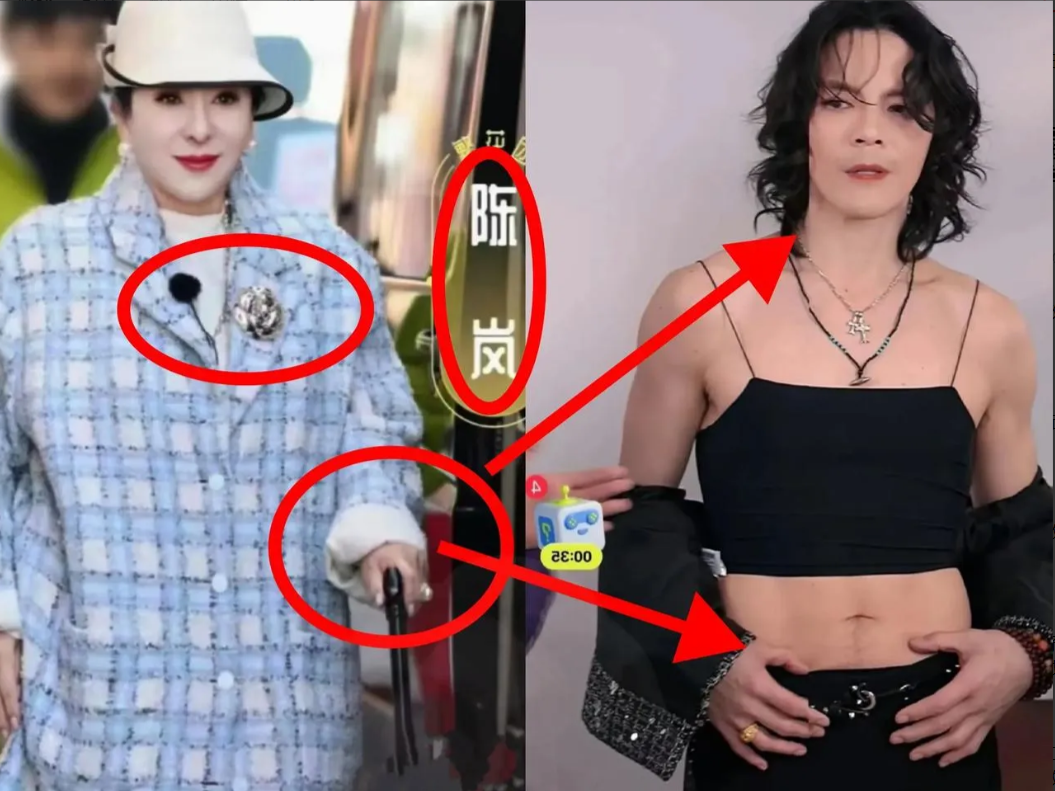 终于知道向佐为什么欠债不还了！不是因为向家付不起，也不是因为故意拖欠耍赖，而