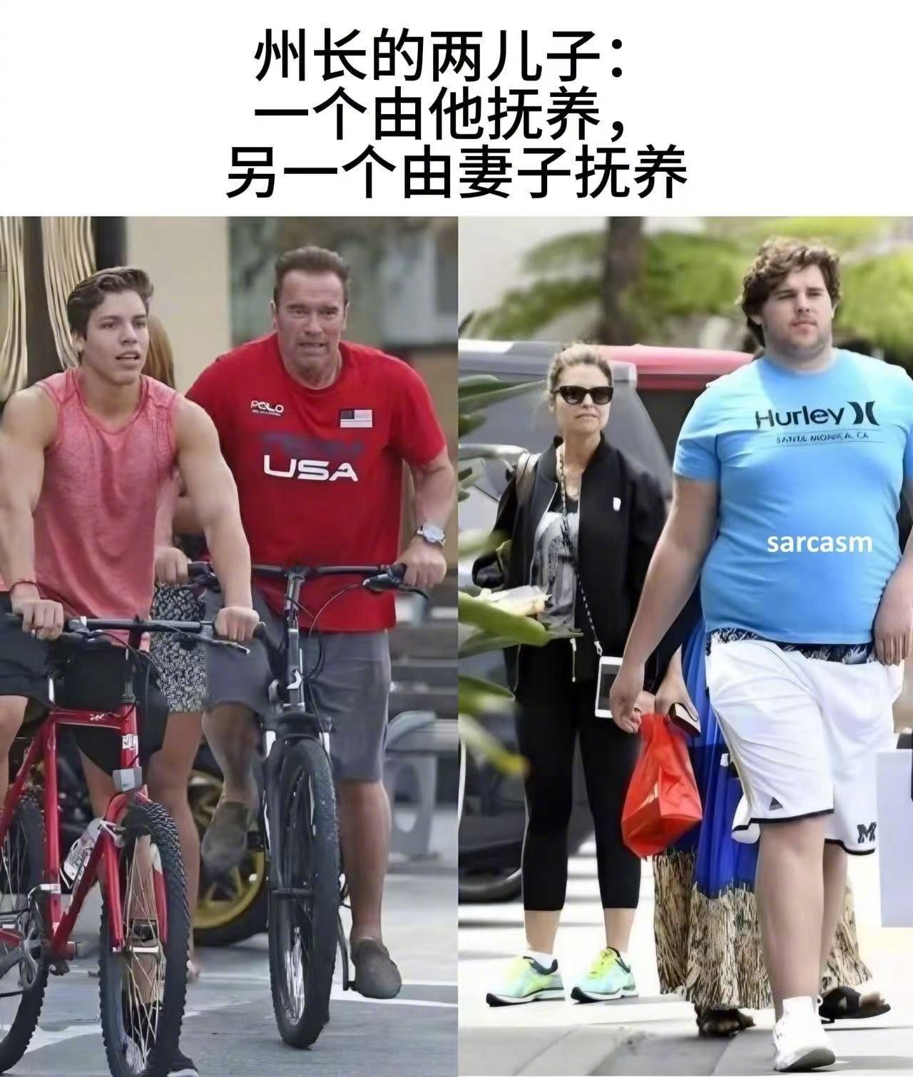 一张图看懂，父母的影响到底有多大施瓦辛格的两个儿子，完美诠释了什么叫“跟爹混