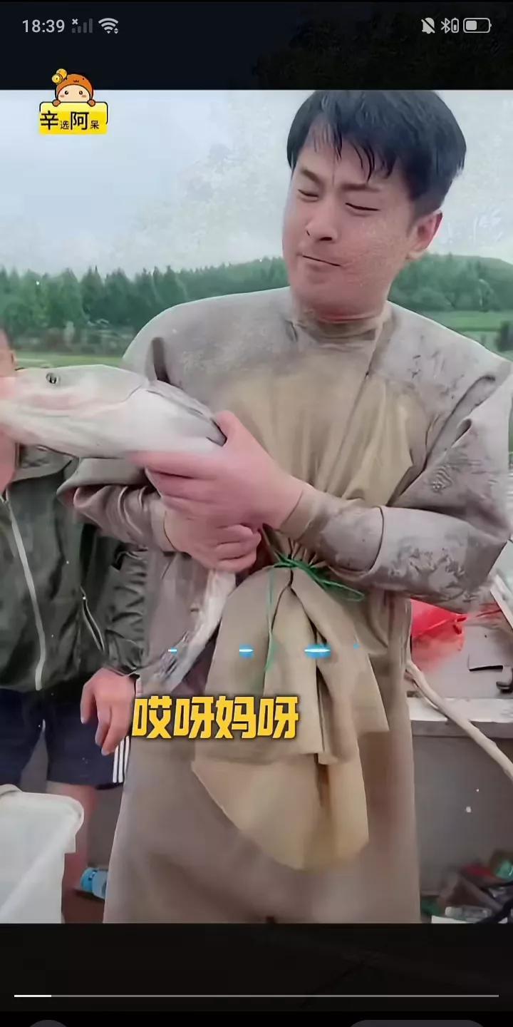 正当全网还在热议辛巴是否被抓，跑路的负面新闻时，近日互联网带货一哥辛有志已经回到