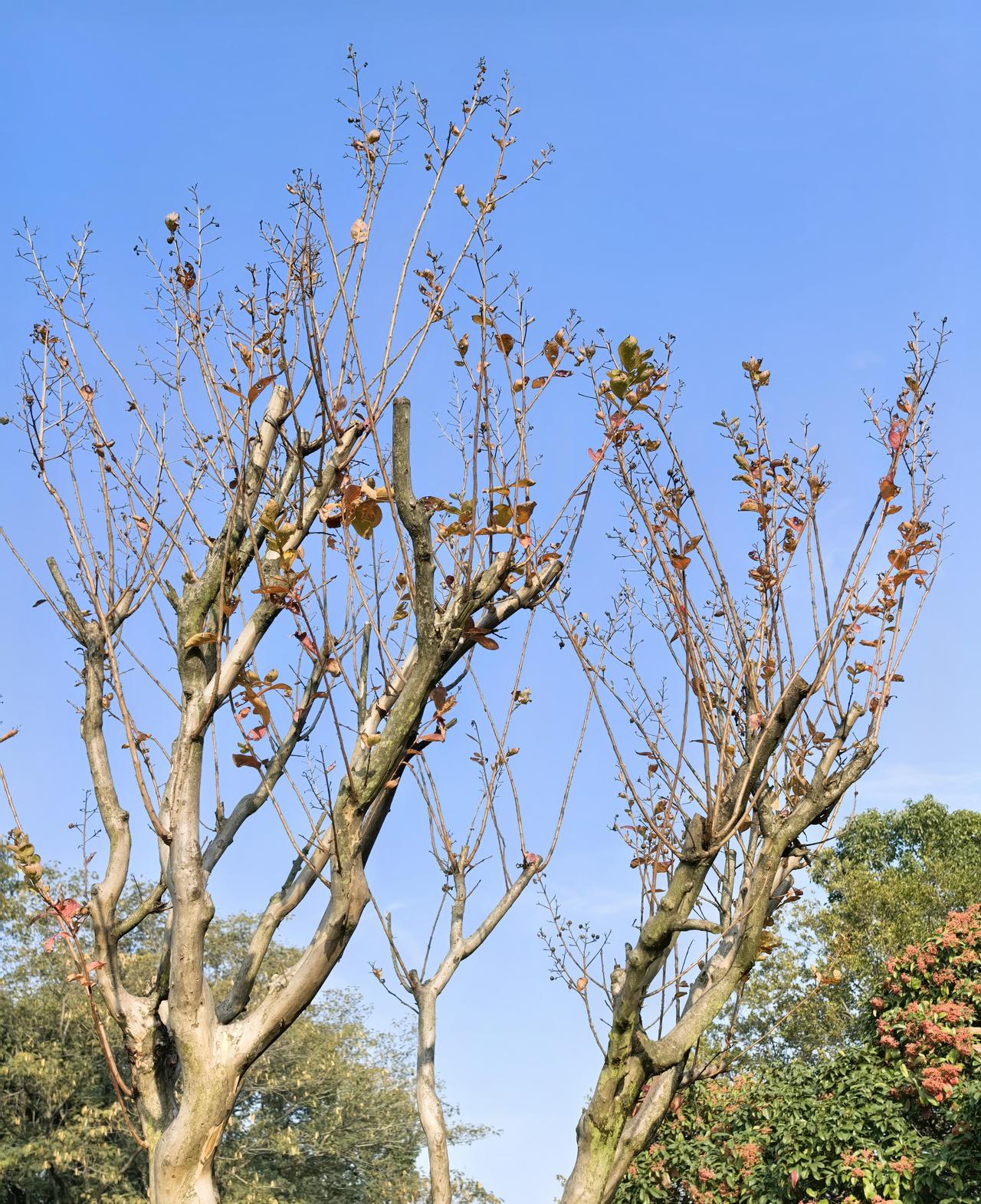 老公是个快退休的60后，没想到，快60岁的人，快要退休的人，竟然迎来了他人生中最