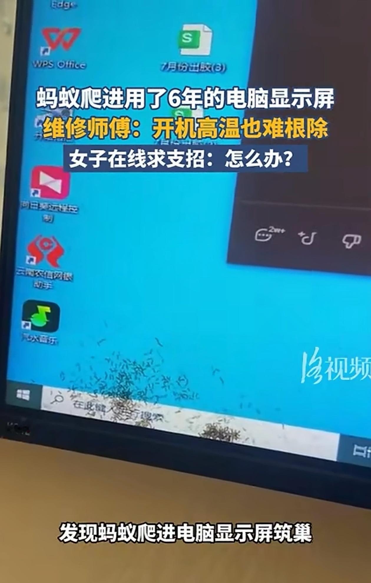 “这电脑不能要了！”云南，女子像往常一样打开电脑办公，可显示屏亮了后女子却傻眼了