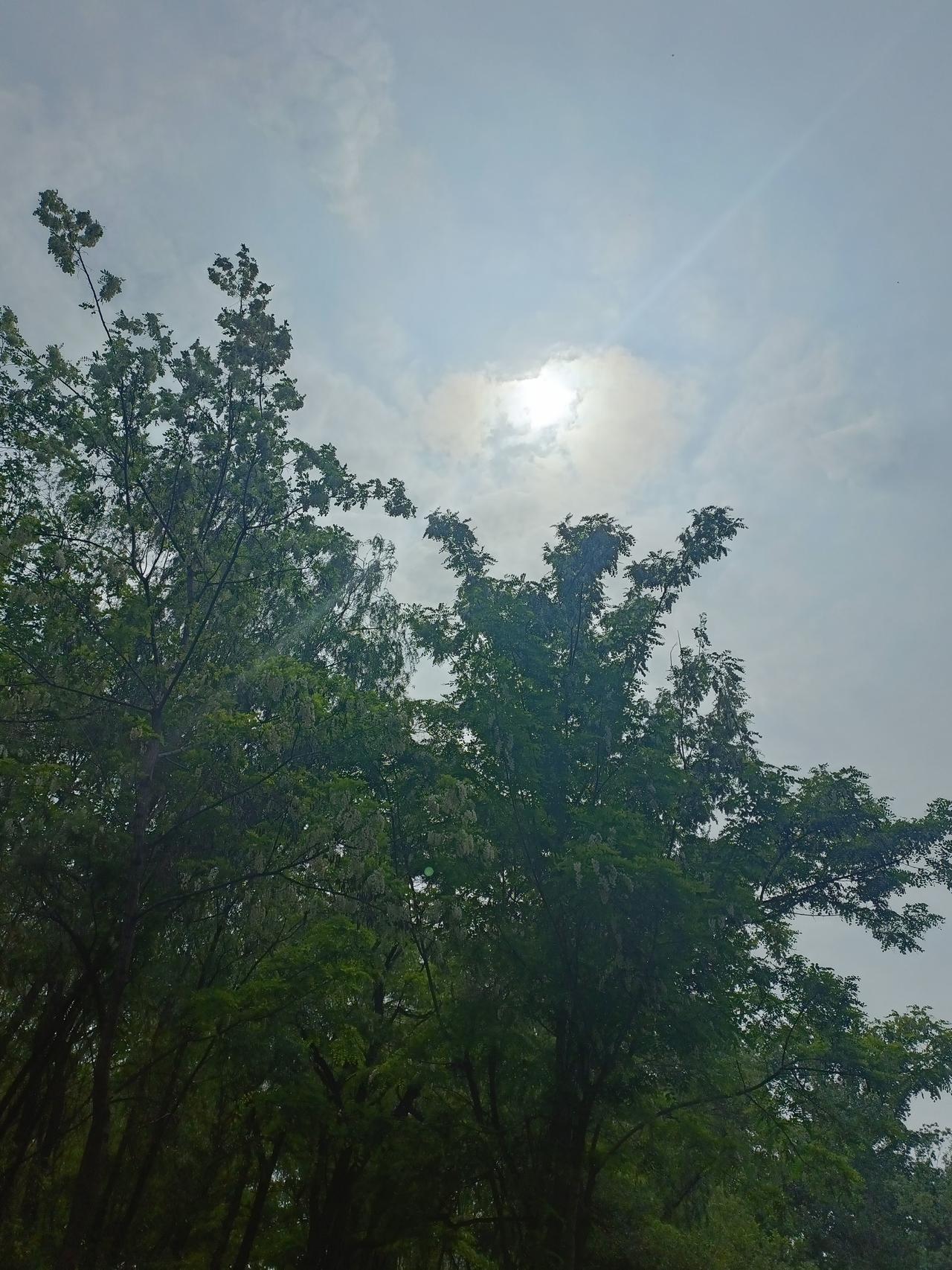 上班受委屈就辞职？这得好好琢磨琢磨。直接辞职，自己没了收入，那些让你委屈的人却啥