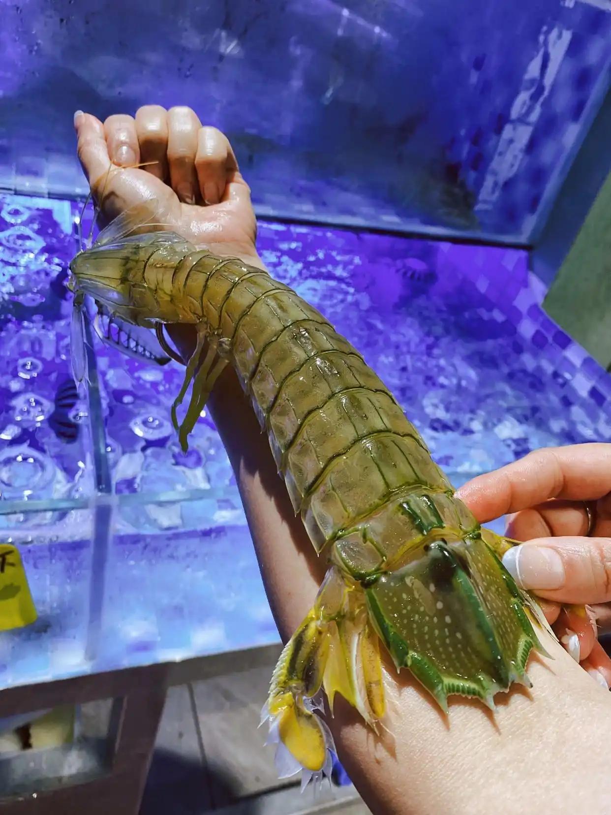 海南三亚，女游客在海鲜店点4只泰国濑尿虾花了1035元，总账单1815元，怀疑被