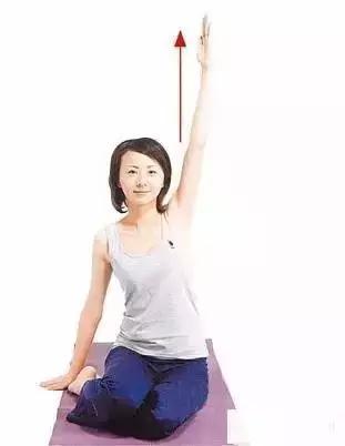 睡前做3分钟, 露脐装随便穿, 腹部无赘肉一生平!