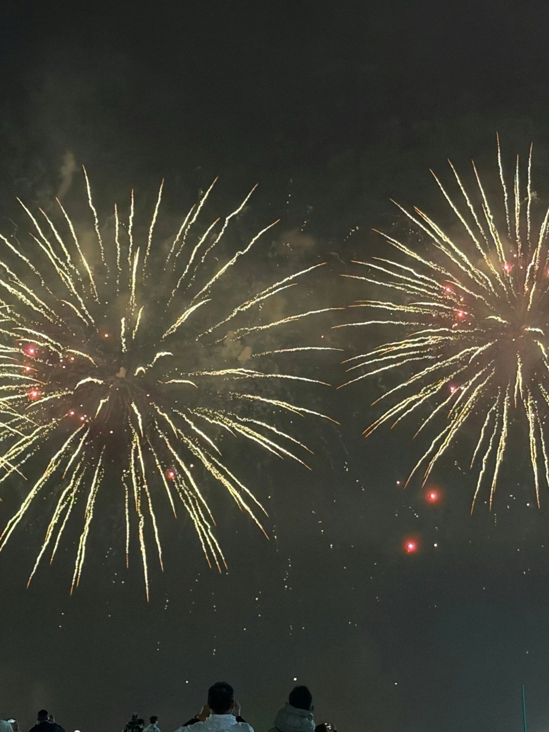 汕头烟花汕头烟花值得看。图片来自网络。