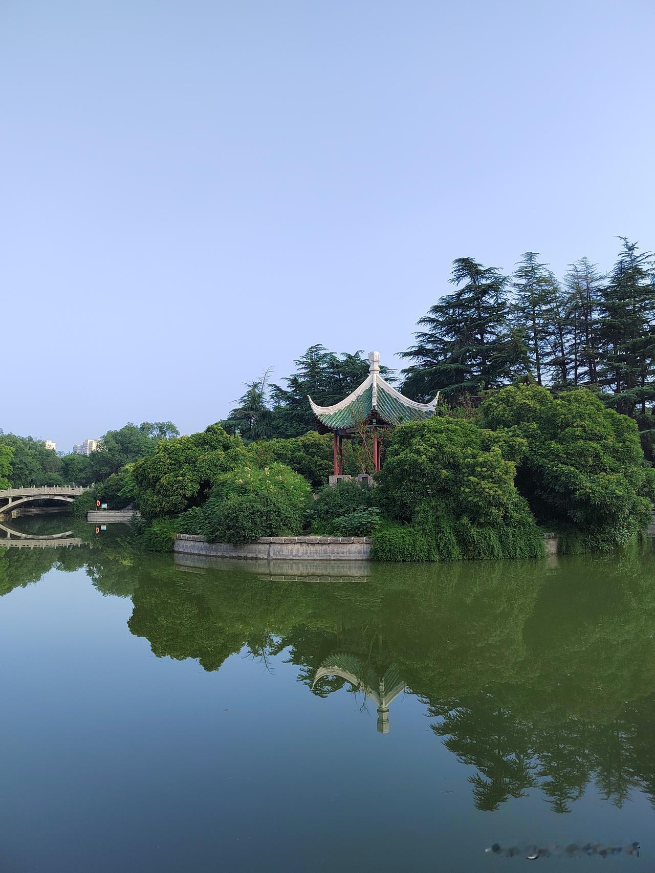 这样当婆婆，能不受欢迎吗？我邻居桂荣，真能干呀！桂荣前两年退休的，退休金有3
