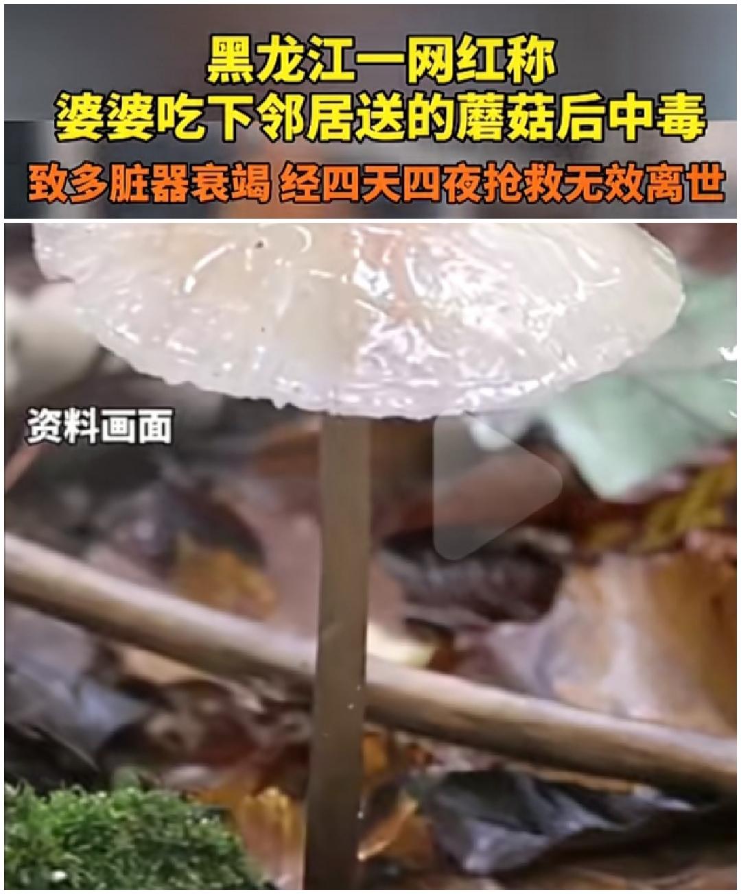 婆婆吃了邻居送的蘑菇身亡，家属称不追究责任。我疑惑，这可是一条人命诶，就这么算了