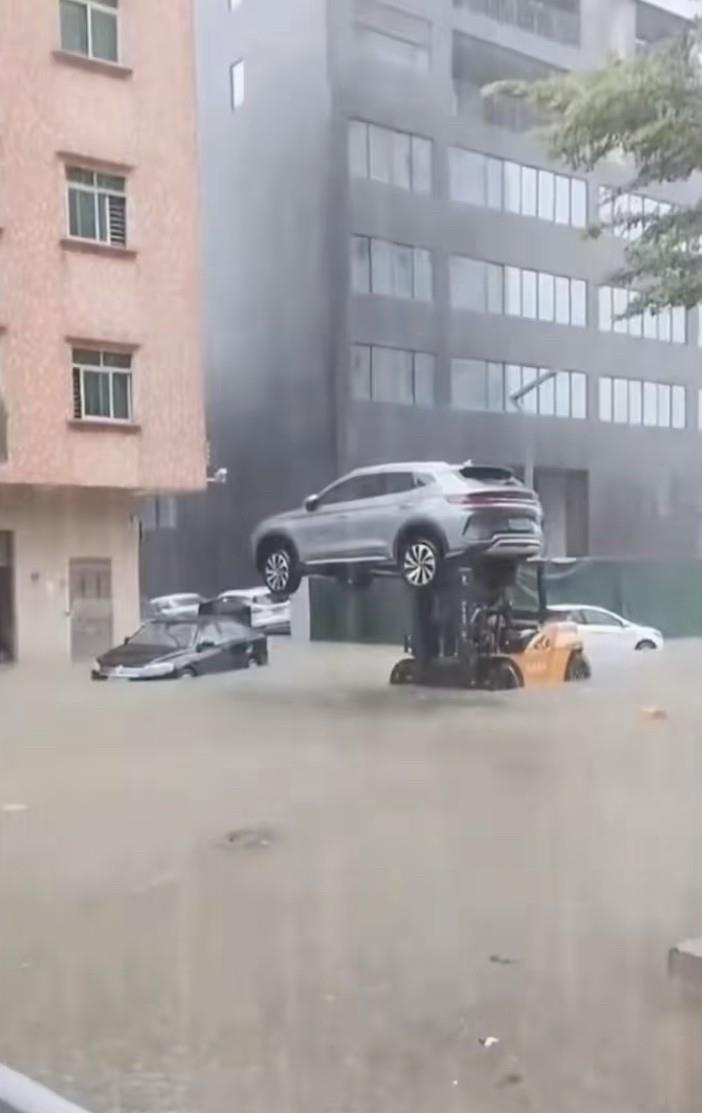 叉车：你清高你了不起。