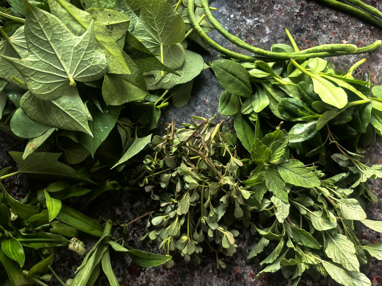观点创作激励赛盛夏连日高温，酷暑难耐，却依旧热衷于阳台种菜。闲时浇水松土，静静守