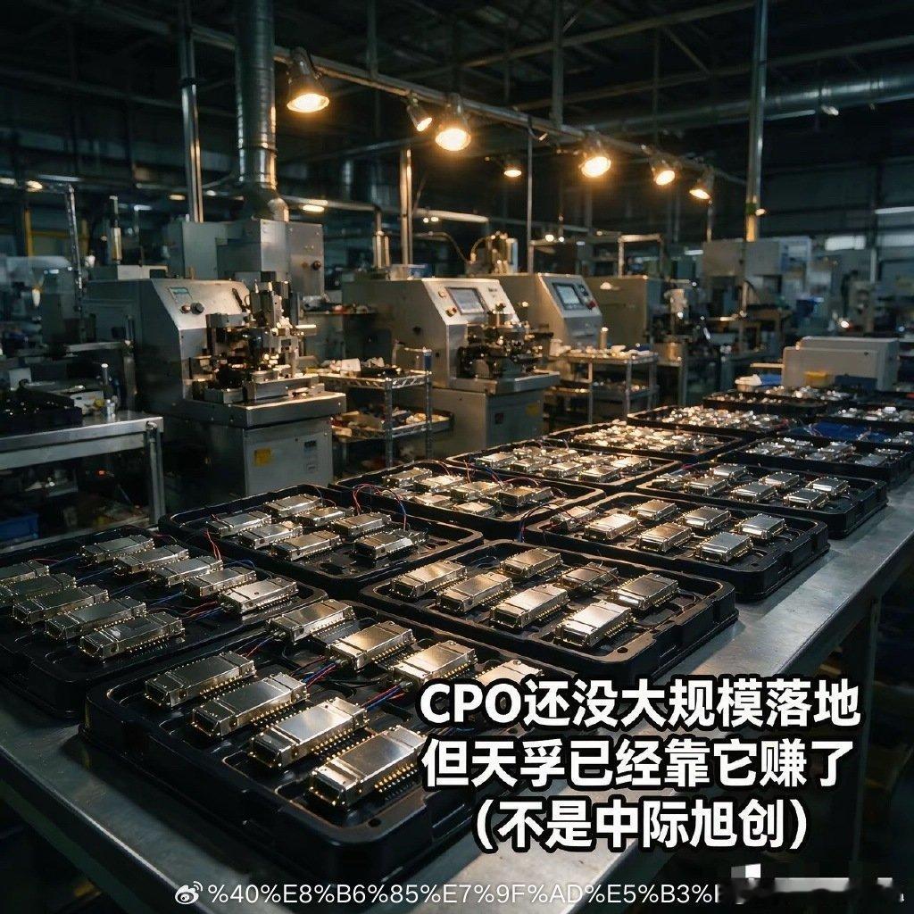 CPO喊了三四年没落地，但有一家中国公司已经靠它赚钱了——不是中际旭创CPO喊了