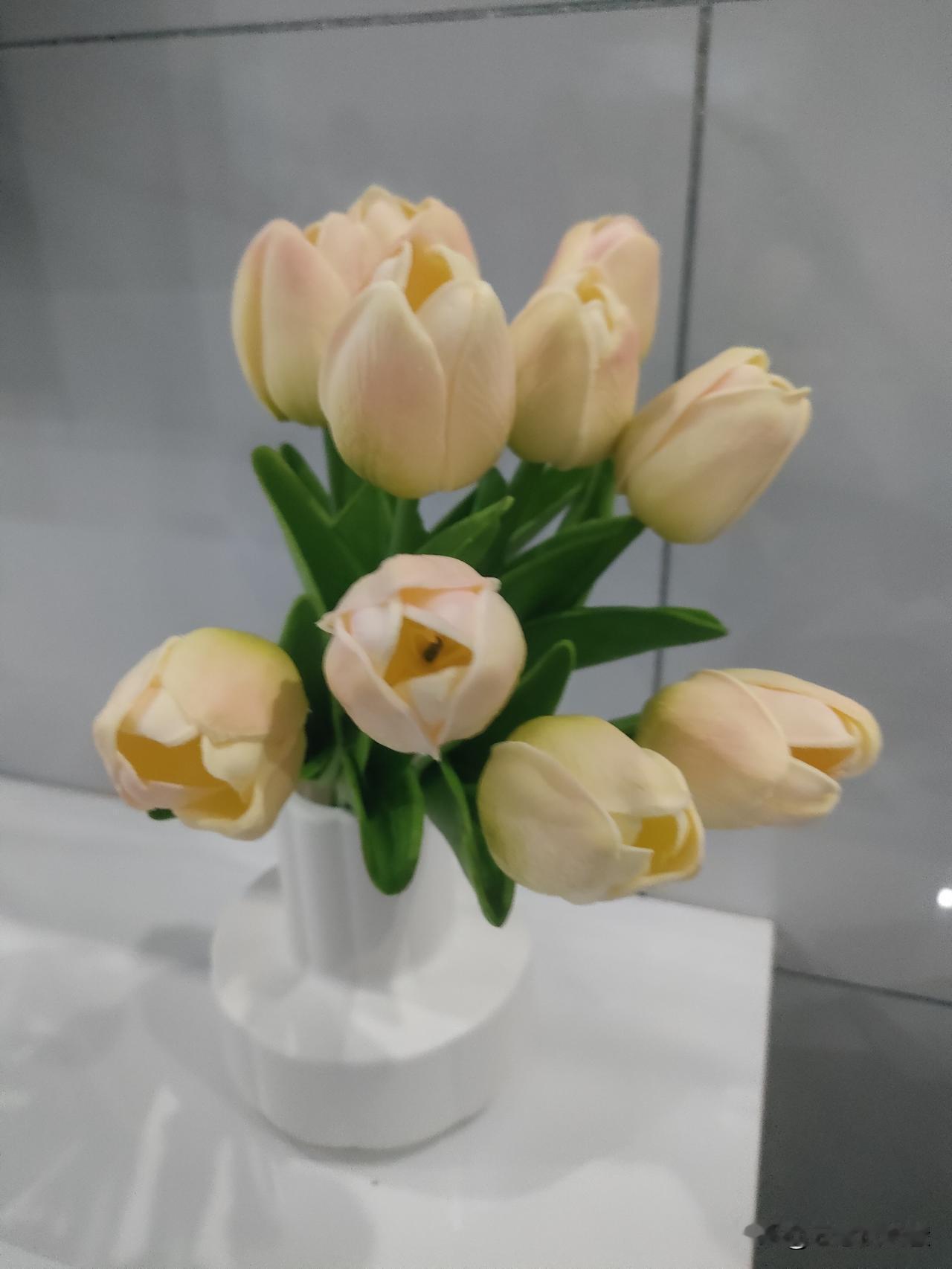 家人们谁懂啊!最近刷到一部短剧直接让我熬夜追到凌晨三点,现在满脑子都是剧情,必须