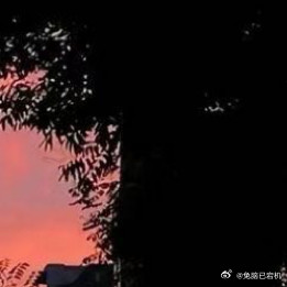 0000见过花开就好了，何必在意花落谁家，又何必在意为谁而开，至少有一刻你闻到了