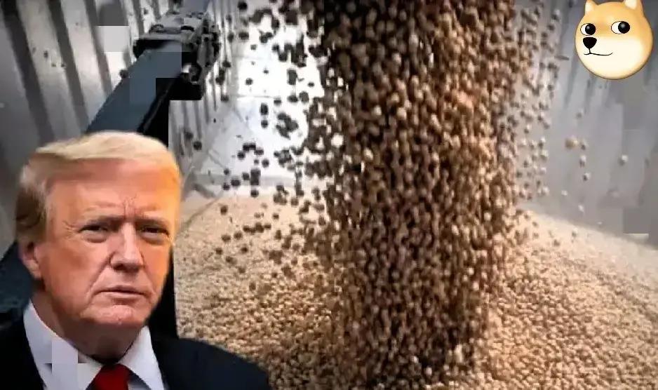 美国大豆农民要哭了！中国又大量进口美国大豆，并放宽了对美的稀土供应，可换来的竟是