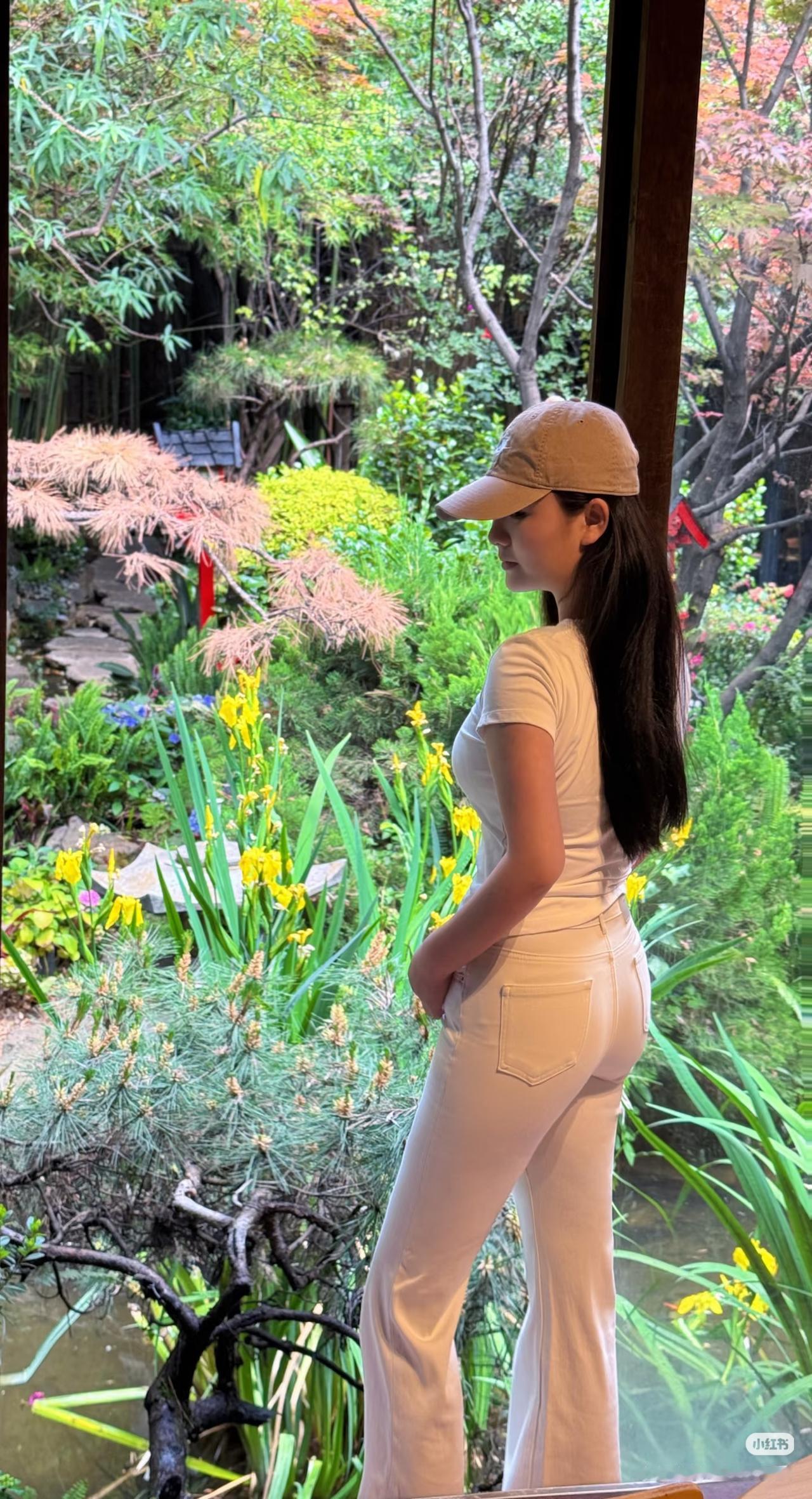 在宁静的庭院中，感受自然的美好。