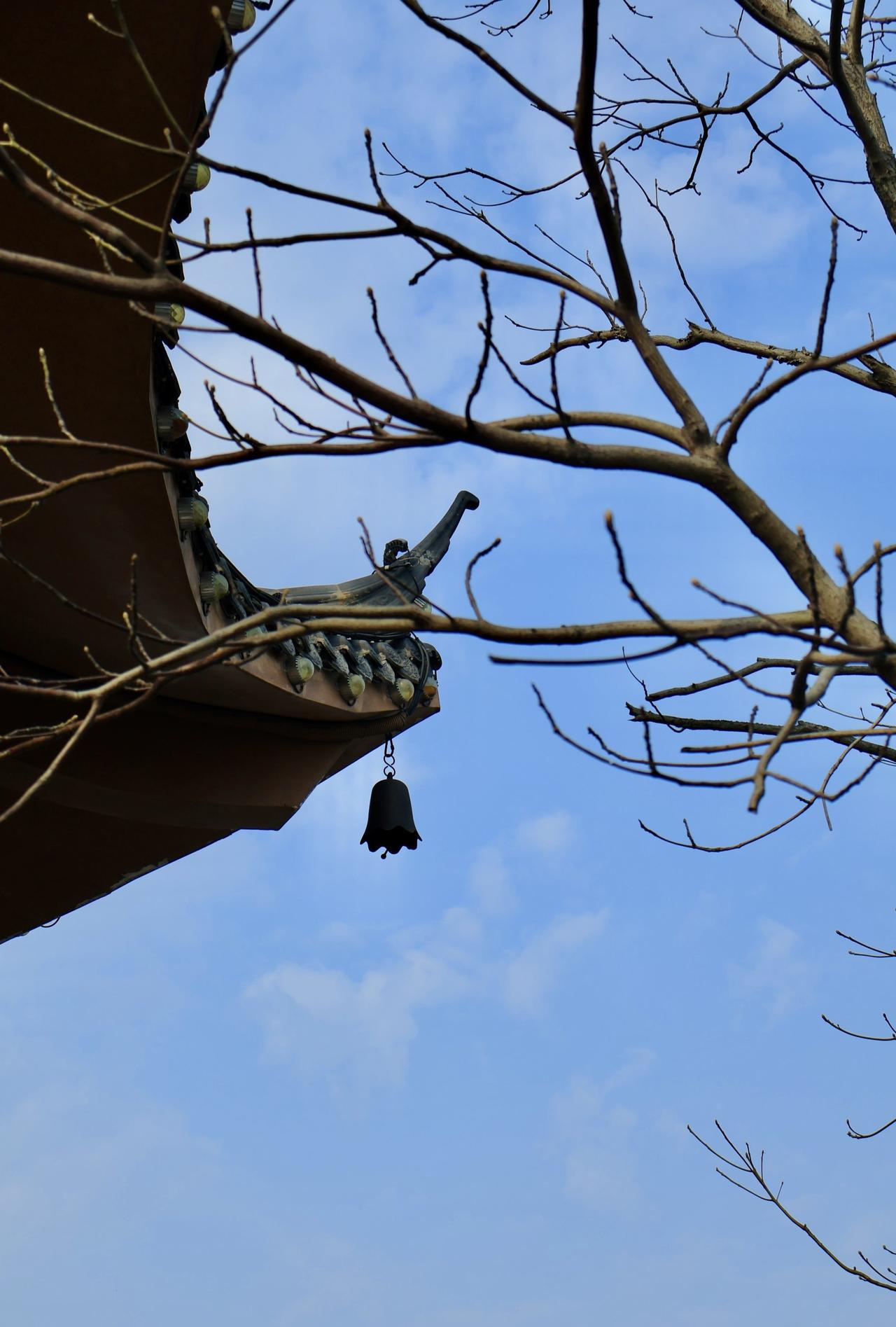 登高远眺📍南宁楼台山位于湖南宁乡历经铺街道，是“宁乡十景”之一的“楼台晓