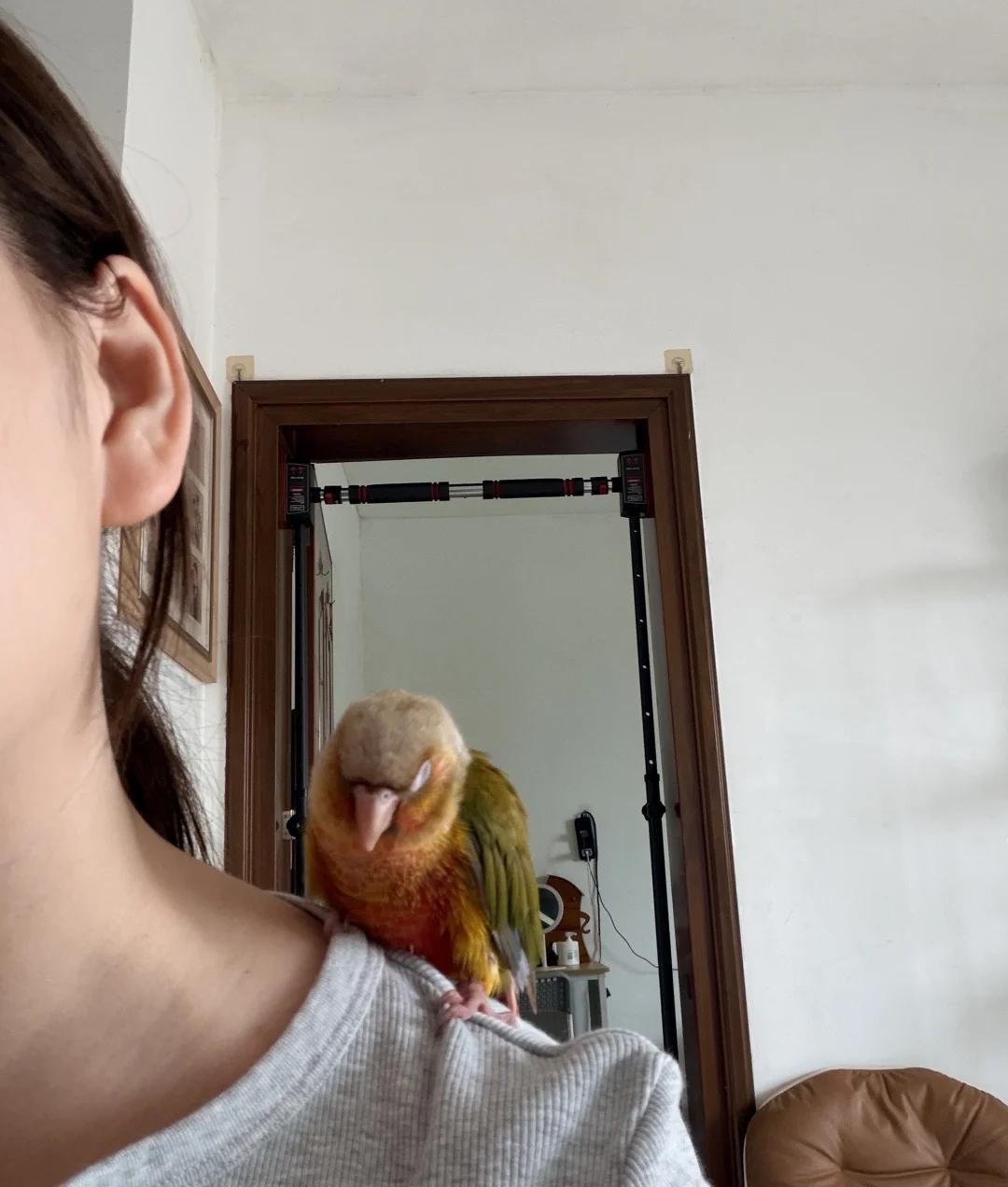 小鸡眼里全是我