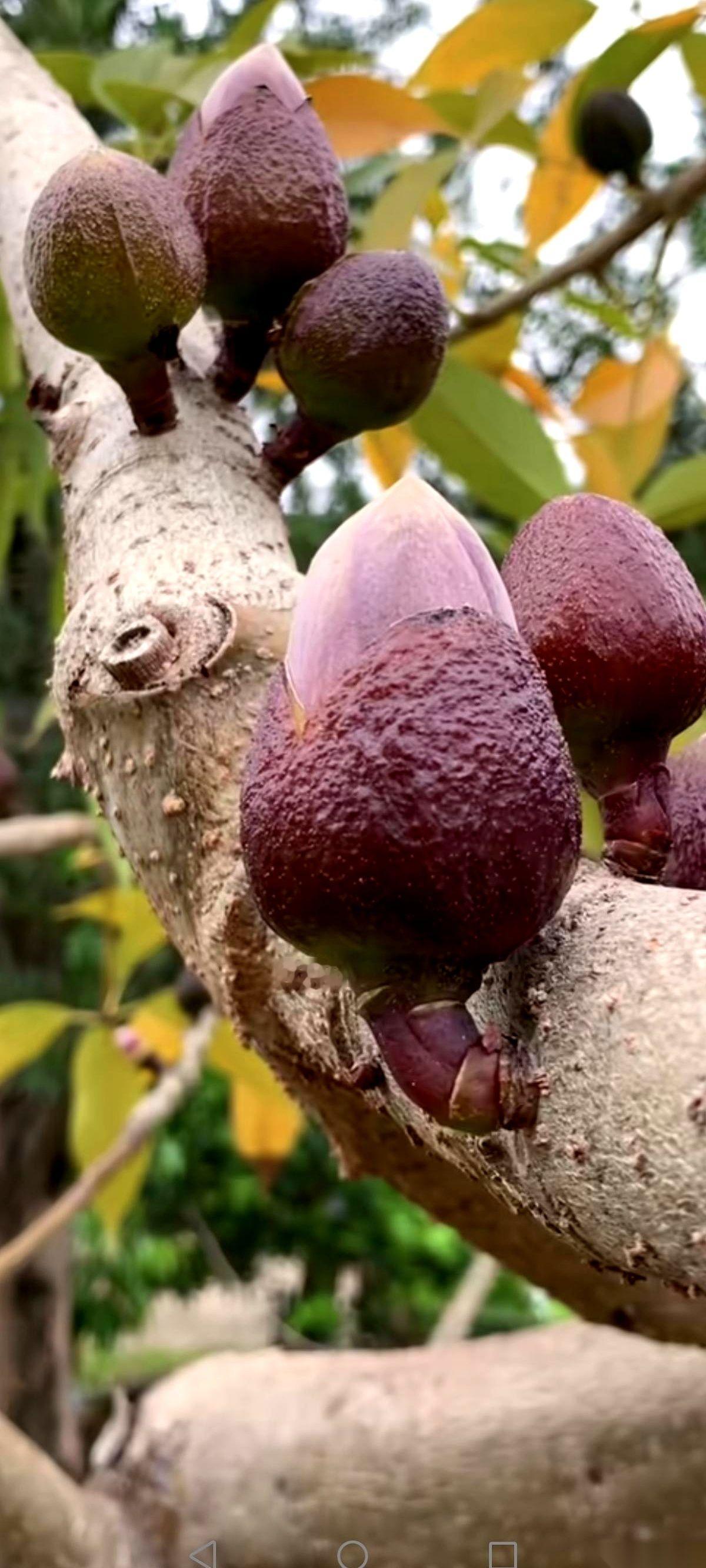 “王姐！”我弟媳在青岛商场里就喊了这么一声。前面那个挽着男人胳膊的女人一回头，