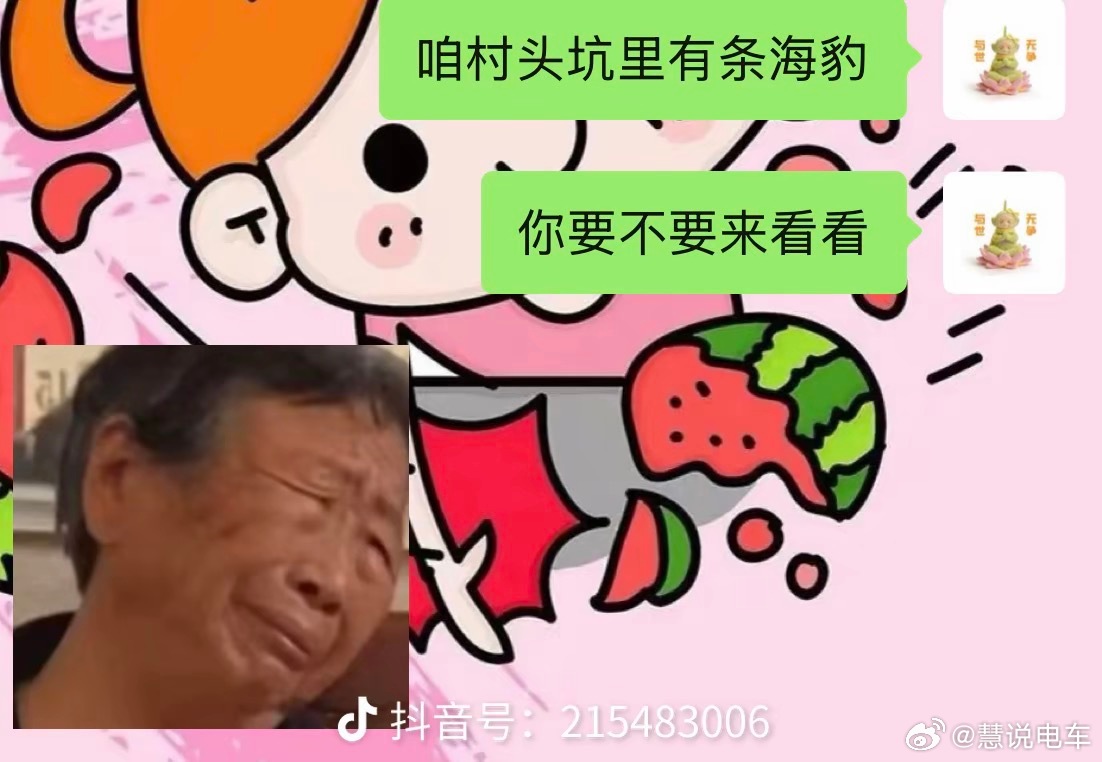 车开坑里了俺对象没给我离婚还怪好比亚迪搞笑