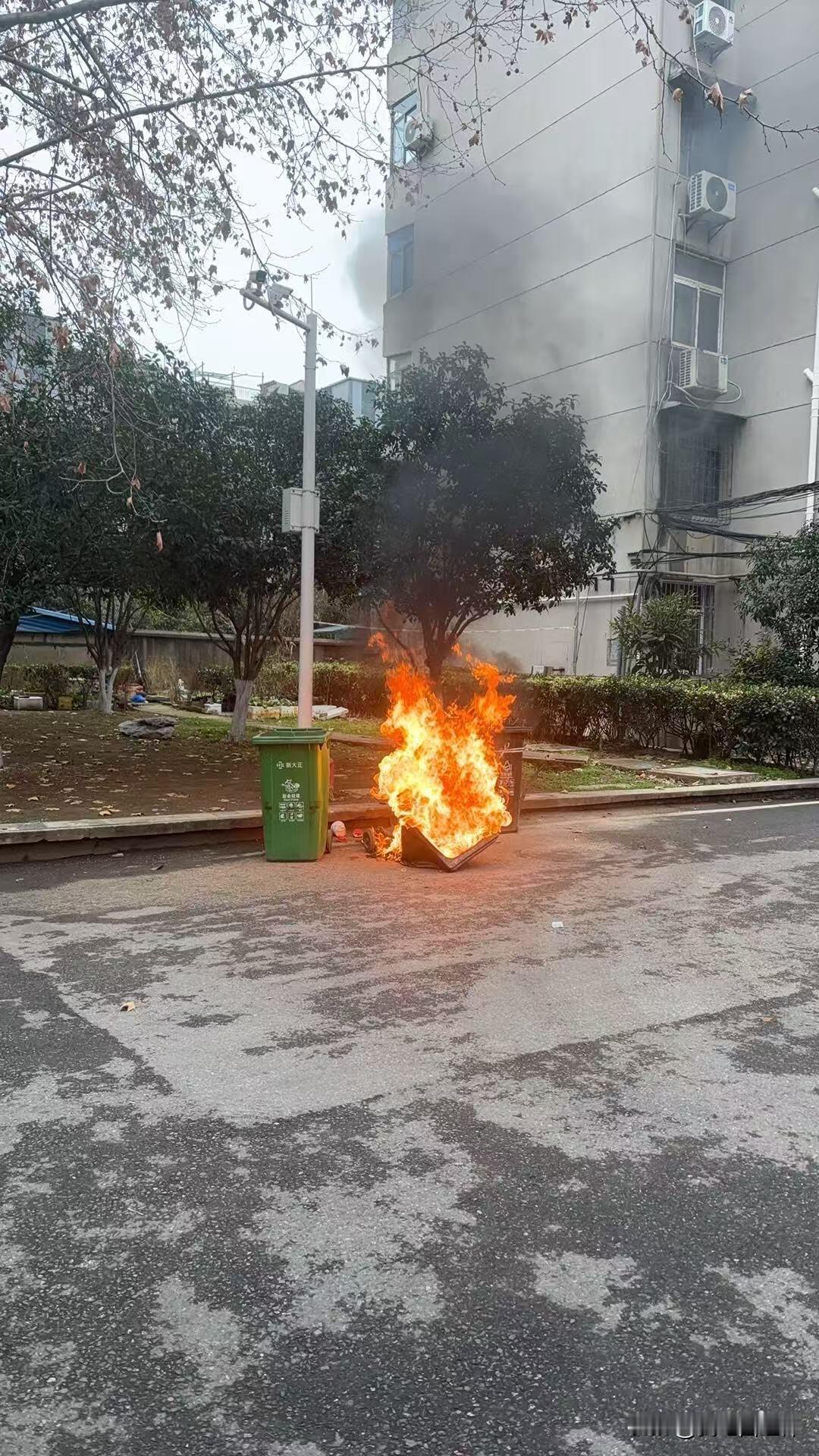 乱扔烟头着火了早上出来遛狗，因为很冷，人少，在学校就业中心后面的篮球场这，也是