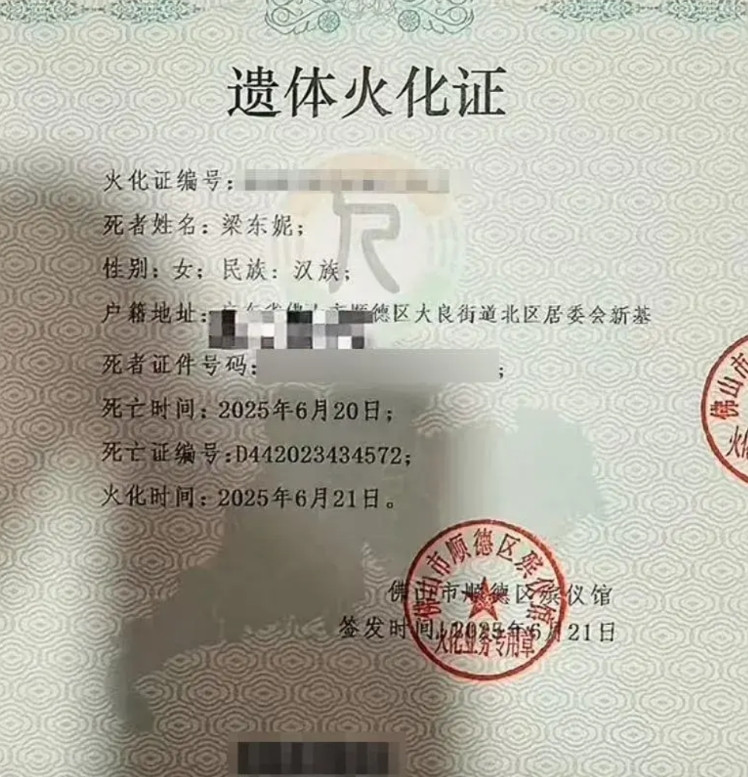 网红丁丁火化证都开了，为何还有网友不放过她？丁丁原名原名梁东妮，她的身份除钢