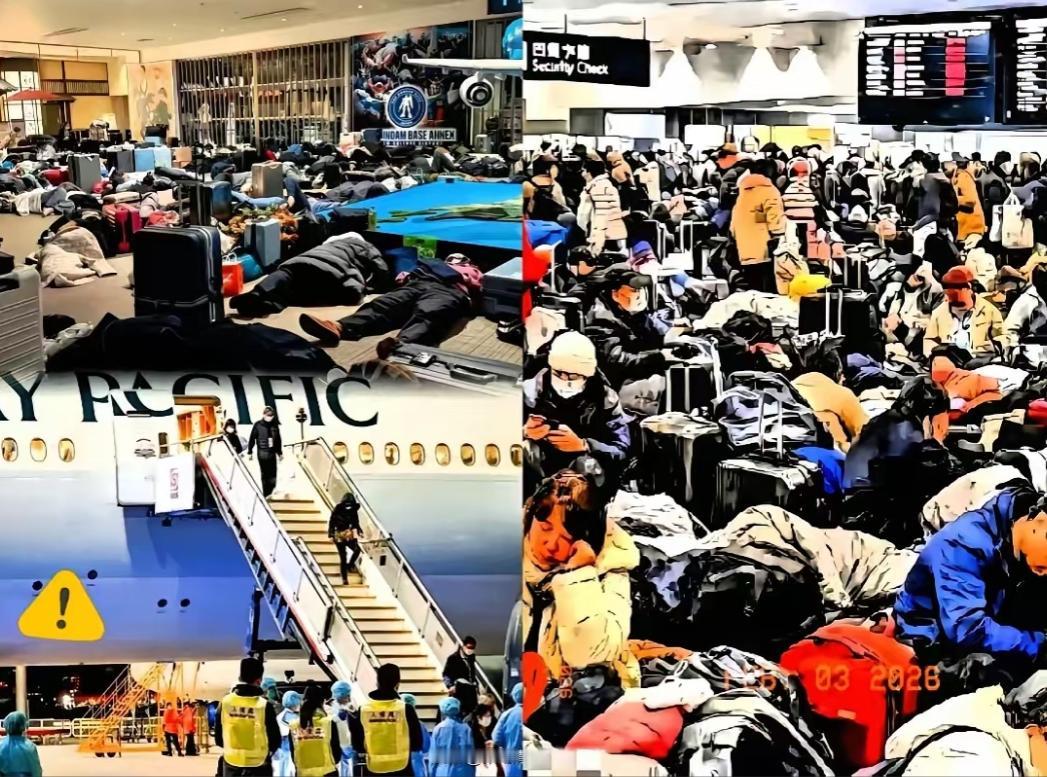 “联系大使馆！必须派飞机！”北海道新千岁机场的视频里，几名中国游客的嘶吼盖过应急
