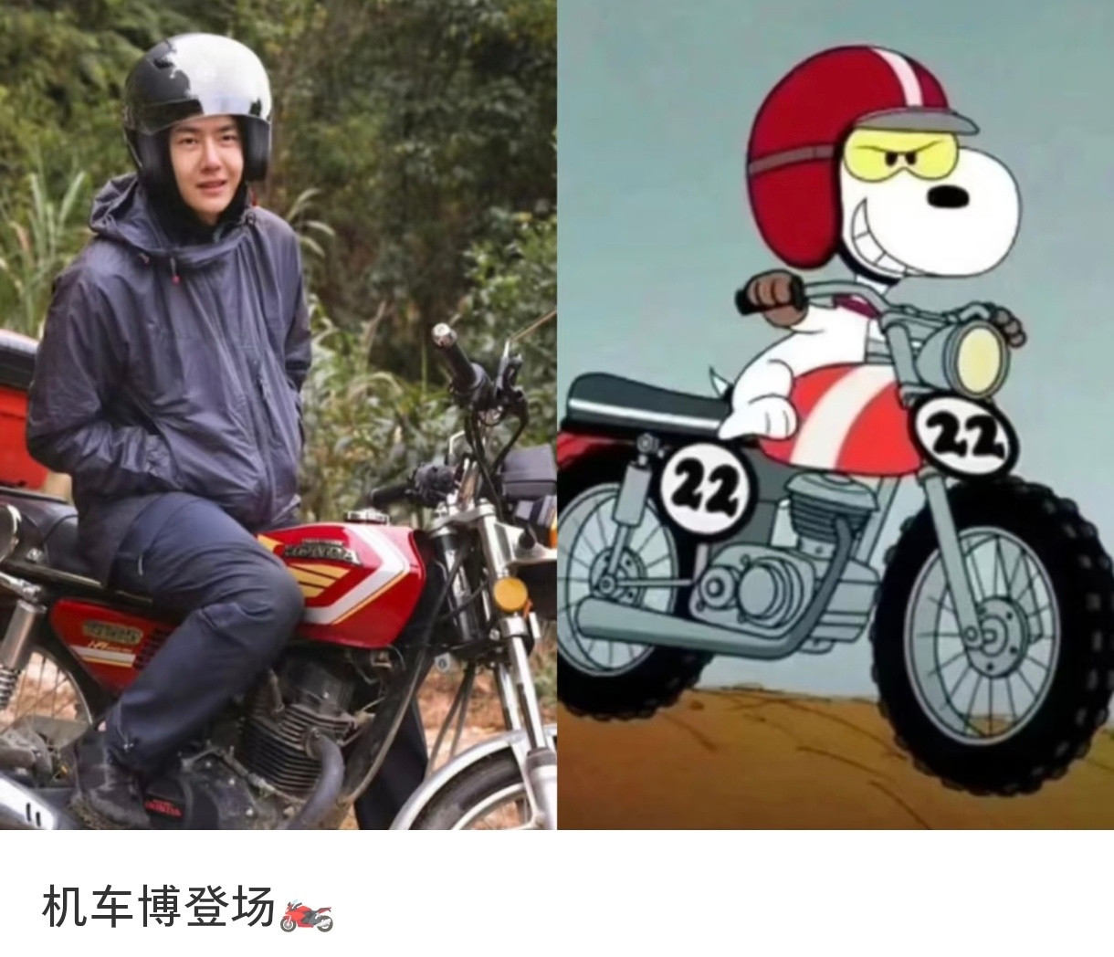 哈哈哈哈哈哈哈可爱