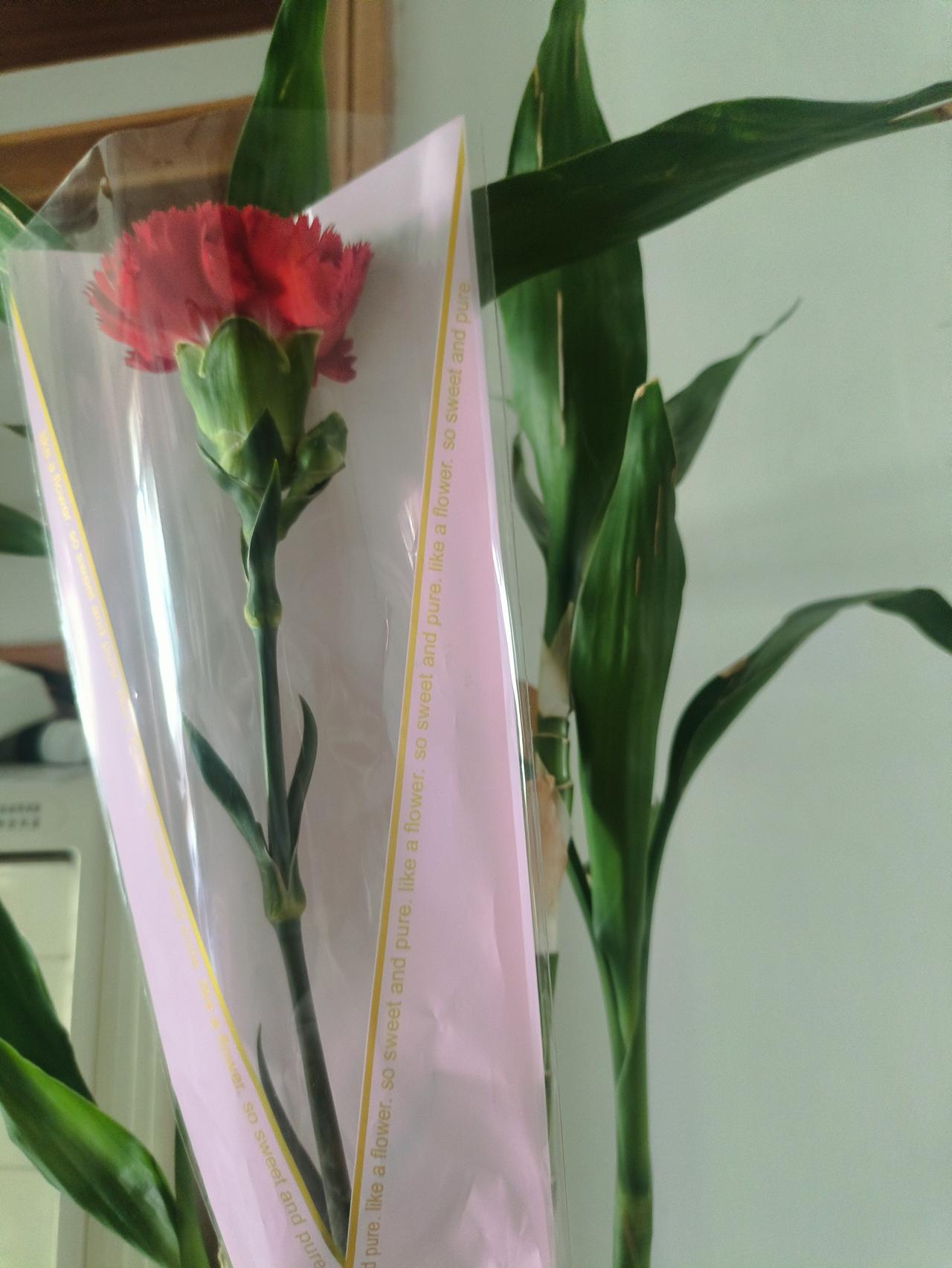 2026年4月10日（星期天），母亲节，这是我最难忘且最高兴的一个母亲节。上