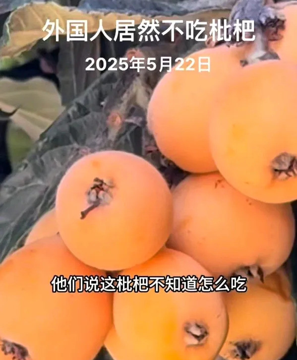 美国人不吃枇杷太奇怪了---我的