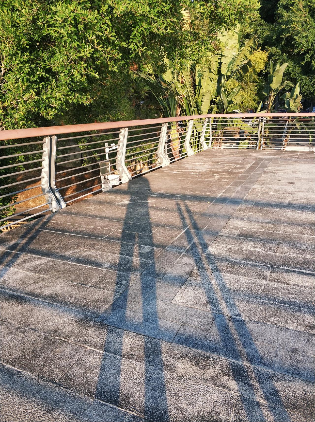 退休了，最好不要参加这3个活动，不然会后悔。头一桩就是“交谊舞”。为啥？里头
