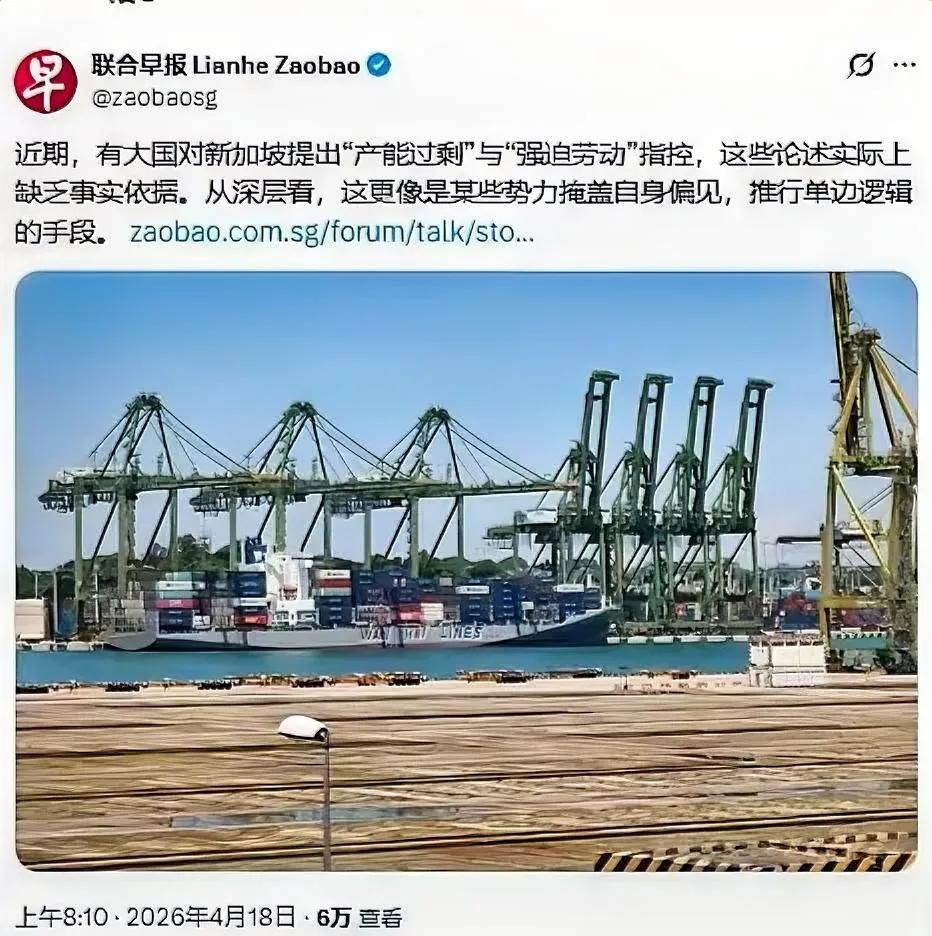 现在没人帮新加坡说话的了美国又搞301调查了，这次连新加坡都没放过！张口就扣“