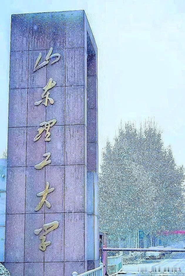 电话咨询山东理工大学招生办的老师，明确表示：电气工程专业的毕业生40%至50%进