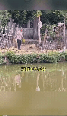 大妈你自己不吃，送给我也行啊[呲牙笑]