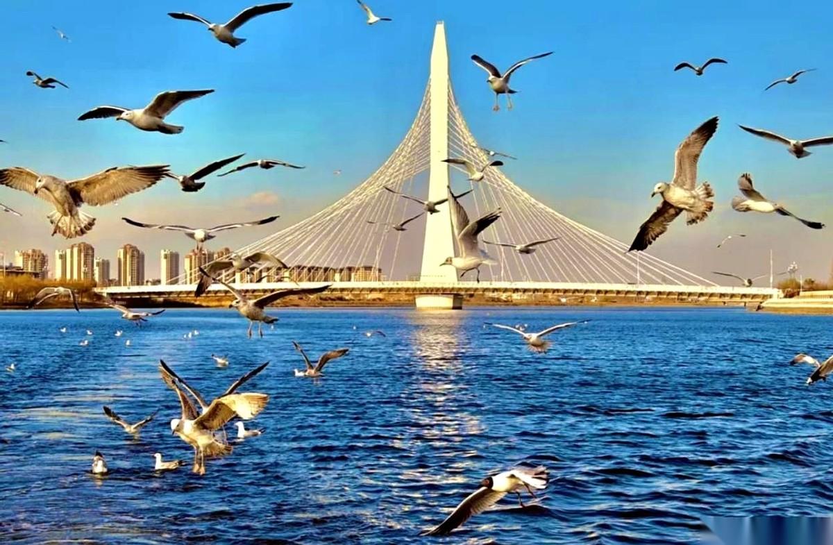 都别争了，天津宁河这四个镇，压根就没在一个牌桌上玩。非要说谁是第一，那芦台就是