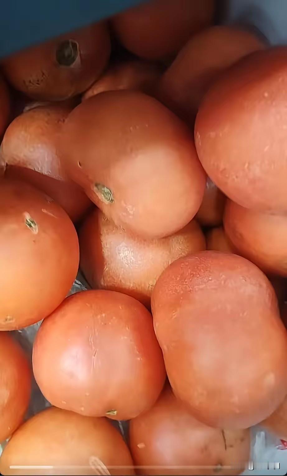 这下厉害了吧，这是我刚上秋的时候买的便宜西红柿给冻上的，秋天的西红柿1块钱2斤，