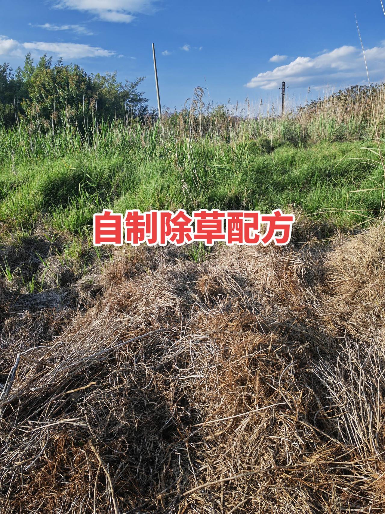 三农流量扶持计划果园管理除杂草种植小技巧农业种植