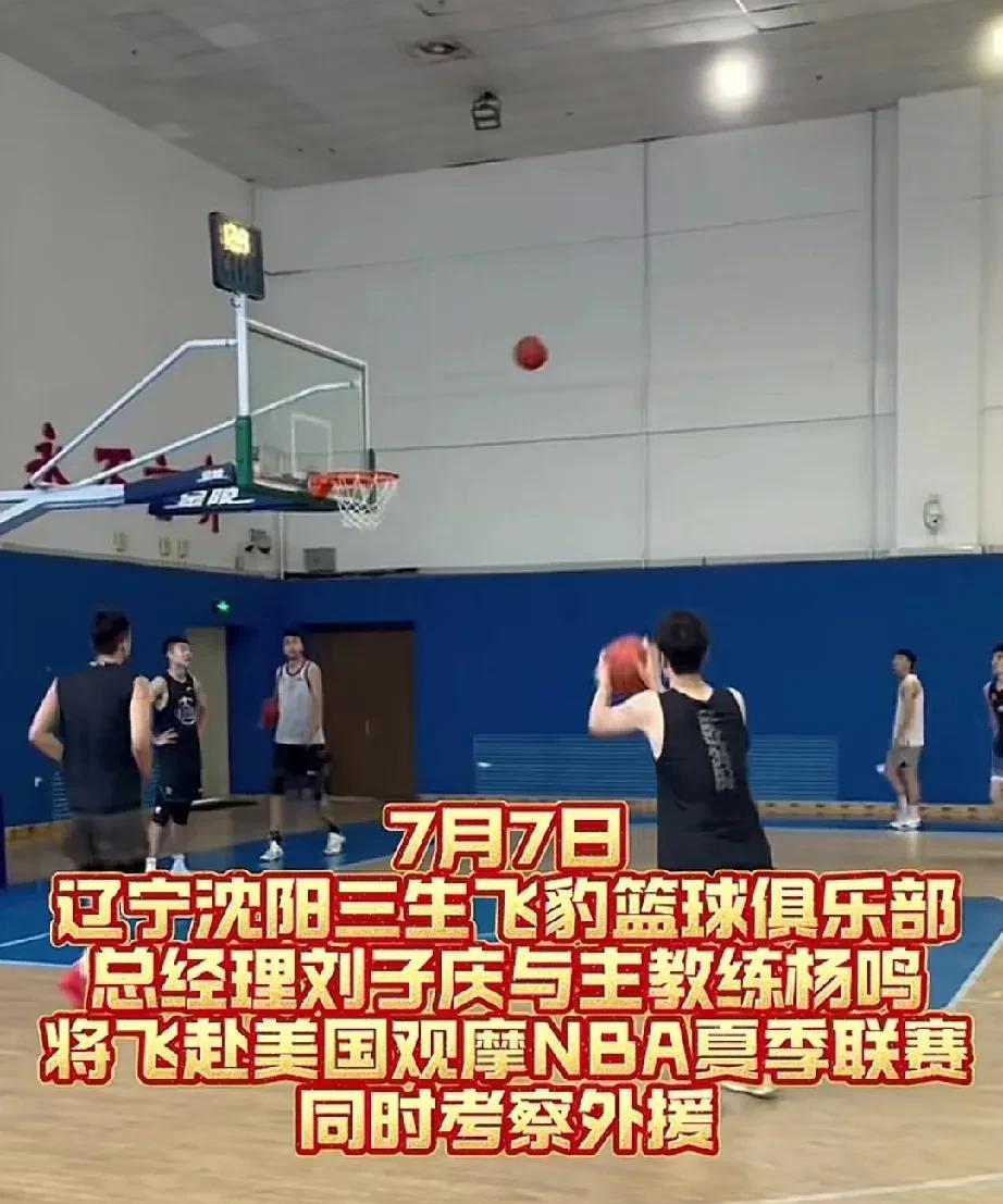 辽篮这操作看傻了！杨鸣与总经理赴美与乌戈汇合！近日得到消息，杨鸣和总经理刘义庆