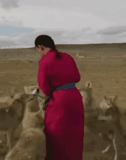 好歹人家也是一头狼，姑娘给点面子吧