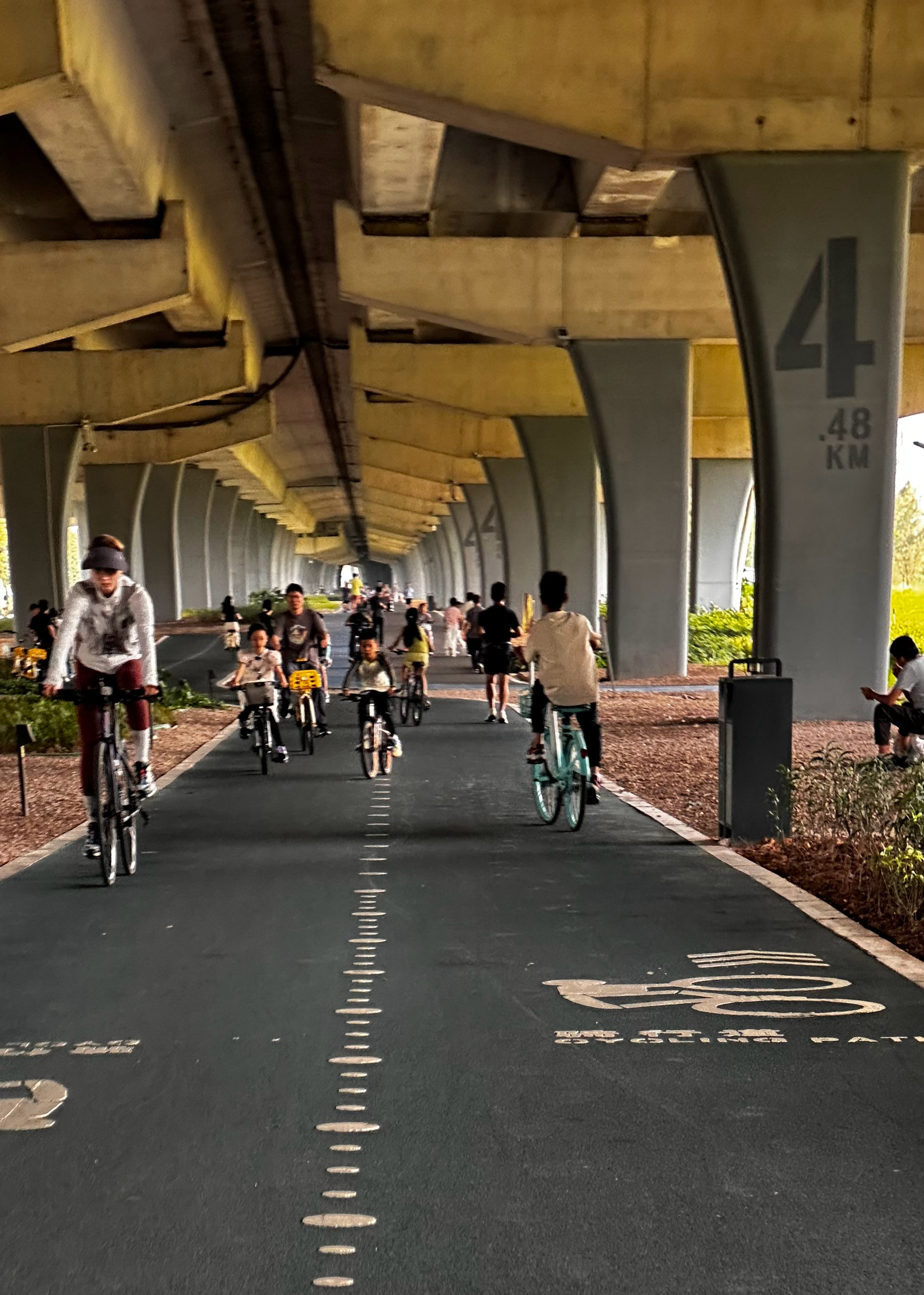 《周末骑行遛娃的人》​​​