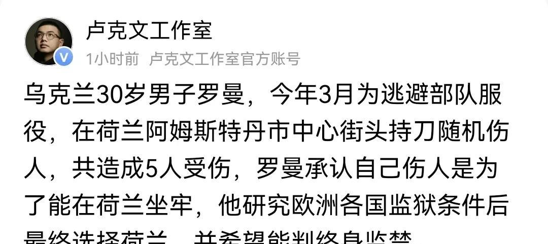 上网上查了一下不能不承认，这个乌克兰男子确实很聪明，坐牢也会挑地方！在荷兰犯事