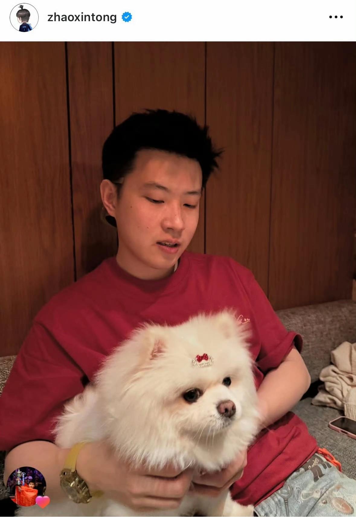 赵心童的爱犬拉菲是一只白色博美犬，外形小巧圆润，被粉丝形容为"好糯米"的可爱狗狗